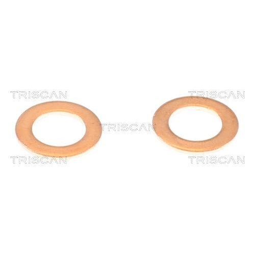 Bremsschlauch TRISCAN 8150 431016 f&uuml;r HYUNDAI, Vorderachse rechts