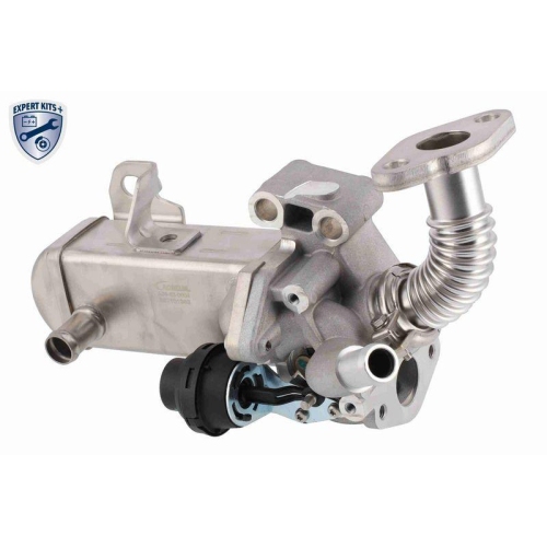 ACKOJA A38-63-0004 AGR-Modul EXPERT KITS + f&uuml;r NISSAN