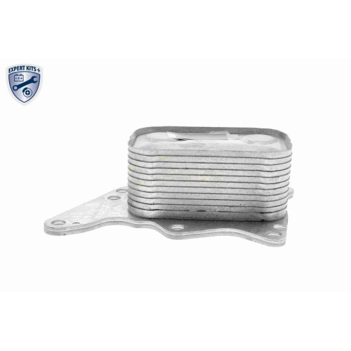 &Ouml;lk&uuml;hler, Motor&ouml;l VEMO V42-60-0008 EXPERT KITS + f&uuml;r BMW PEUGEOT