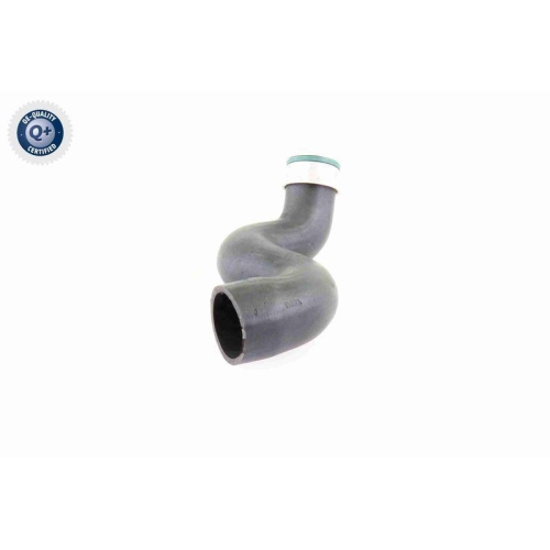 Ladeluftschlauch VAICO V10-3825 Q+, Erstausrüsterqualität für AUDI SEAT SKODA VW