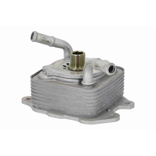 ACKOJA A38-60-0024 &Ouml;lk&uuml;hler, Motor&ouml;l Original ACKOJA Qualit&auml;t f&uuml;r INFINITI