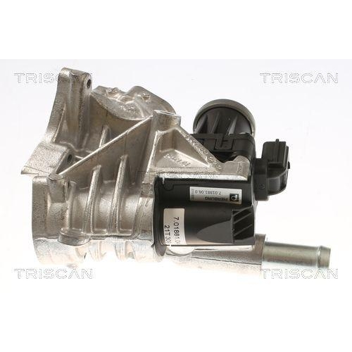 AGR-Ventil TRISCAN 8813 10118 für JAGUAR LAND ROVER, links