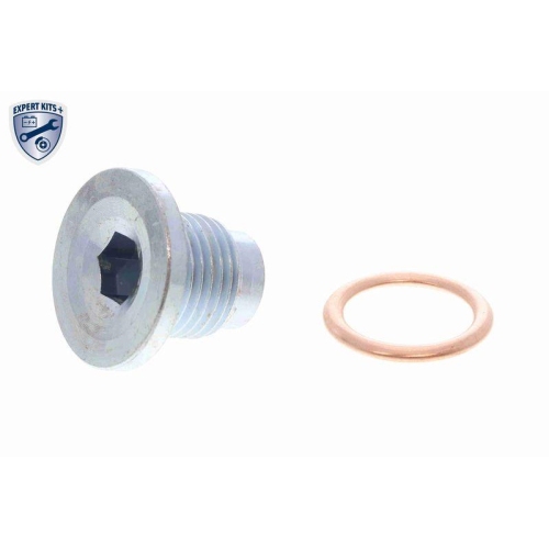 Zahnriemensatz VAICO V22-1329 EXPERT KITS + f&uuml;r CITRO&Euml;N FIAT OPEL PEUGEOT TOYOTA