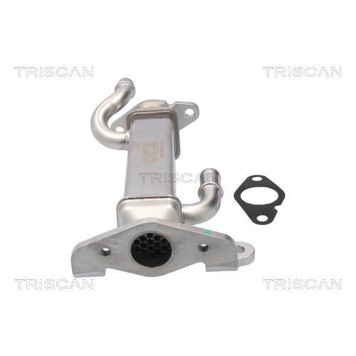 Kühler, Abgasrückführung TRISCAN 8813 15080 für IVECO
