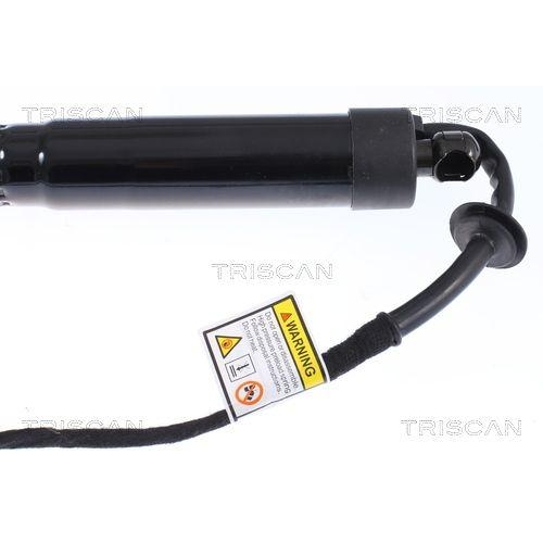 Gasfeder, Koffer-/Laderaum TRISCAN 8710 20302 f&uuml;r PORSCHE