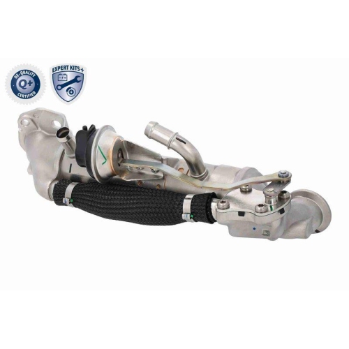 K&uuml;hler, Abgasr&uuml;ckf&uuml;hrung VEMO V25-63-0076 EXPERT KITS + f&uuml;r FORD