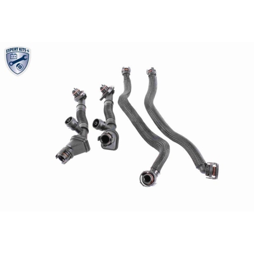 Reparatursatz, Kurbelgeh&auml;useentl&uuml;ftung VAICO V20-3292 EXPERT KITS + f&uuml;r BMW