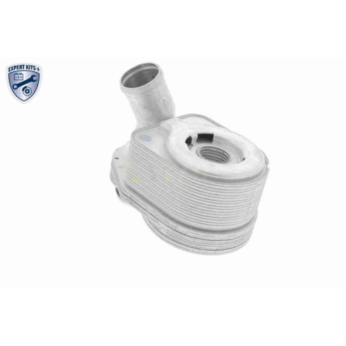 &Ouml;lk&uuml;hler, Motor&ouml;l VEMO V24-60-0011 EXPERT KITS + f&uuml;r ALFA ROMEO FIAT IVECO