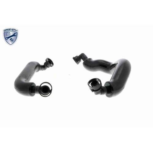 Reparatursatz, Kurbelgehäuseentlüftung VAICO V20-3356 EXPERT KITS + für BMW