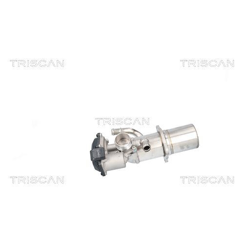 AGR-Ventil TRISCAN 8813 29117 für AUDI