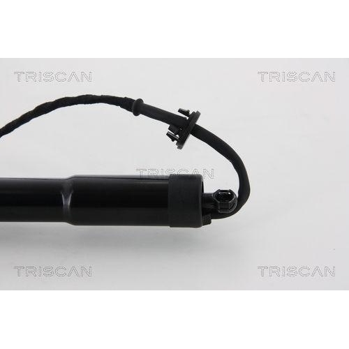 Gasfeder, Koffer-/Laderaum TRISCAN 8710 292193 f&uuml;r SEAT