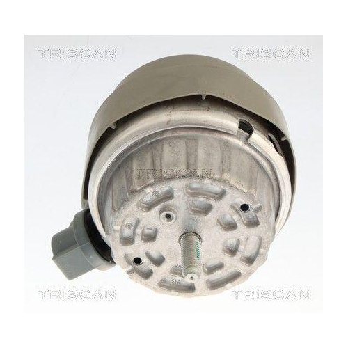 TRISCAN 8505 291001 Lagerung, Motor f&uuml;r AUDI, rechts, vorne