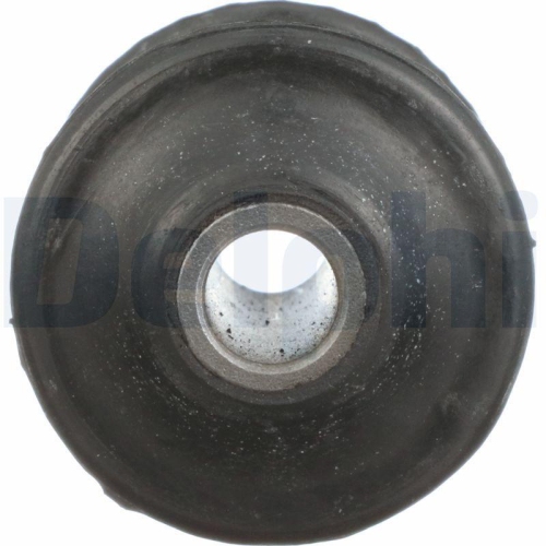 DELPHI TD493W Lagerung, Lenker f&uuml;r VW, Hinterachse, Vorderachse, innen, unten