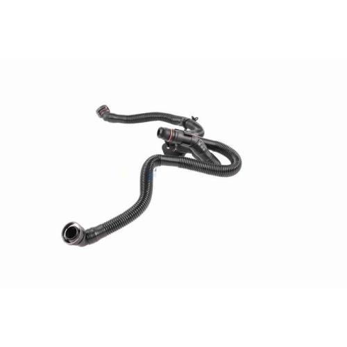 Schlauch, Kurbelgeh&auml;useentl&uuml;ftung VAICO V10-5458 Original VAICO Qualit&auml;t f&uuml;r VW