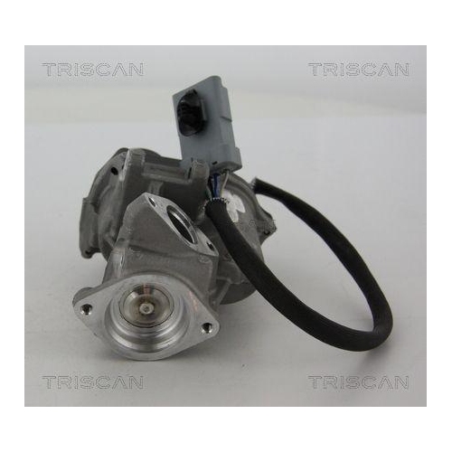 AGR-Ventil TRISCAN 8813 17019 f&uuml;r FORD LAND ROVER, links