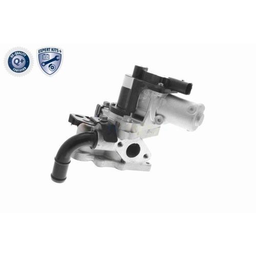 ACKOJA A52-63-0013 AGR-Ventil EXPERT KITS + f&uuml;r HYUNDAI KIA
