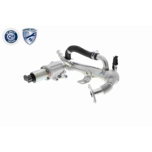 ACKOJA A52-63-0018 AGR-Modul EXPERT KITS + f&uuml;r HYUNDAI KIA