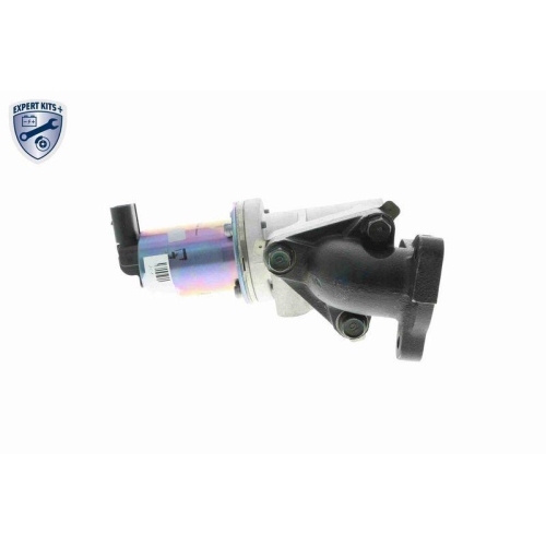 ACKOJA A53-63-0001 AGR-Ventil EXPERT KITS + f&uuml;r HYUNDAI KIA