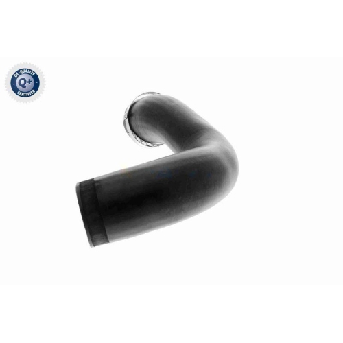 Ladeluftschlauch VAICO V10-4816 Q+, Erstausr&uuml;sterqualit&auml;t f&uuml;r AUDI SEAT SKODA VW