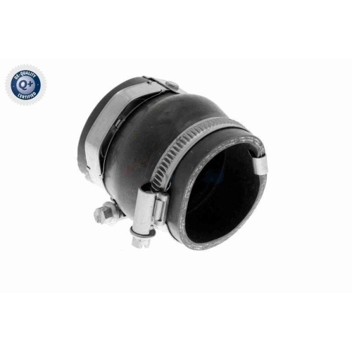Ladeluftschlauch VAICO V42-0570 Q+, Erstausrüsterqualität für PEUGEOT