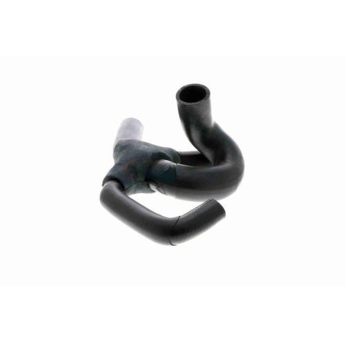 K&uuml;hlerschlauch VAICO V46-0909 Q+, Erstausr&uuml;sterqualit&auml;t f&uuml;r RENAULT, unten