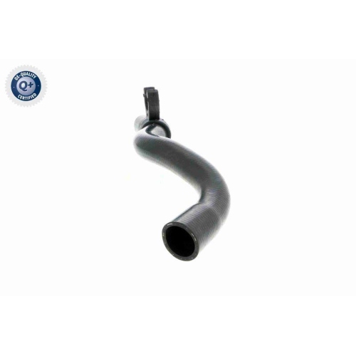 K&uuml;hlerschlauch VAICO V46-0916 Q+, Erstausr&uuml;sterqualit&auml;t f&uuml;r RENAULT