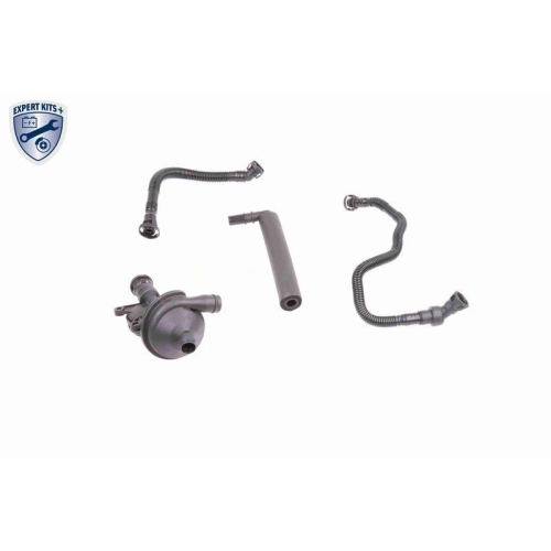 Reparatursatz, Kurbelgeh&auml;useentl&uuml;ftung VAICO V20-1873 EXPERT KITS + f&uuml;r AUDI BMW