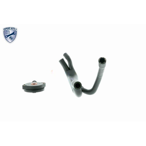 Reparatursatz, Kurbelgeh&auml;useentl&uuml;ftung VAICO V20-1920 EXPERT KITS + f&uuml;r BMW FORD