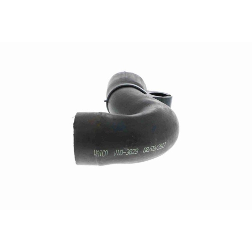 Ladeluftschlauch VAICO V10-3829 Q+, Erstausrüsterqualität für AUDI SEAT SKODA VW