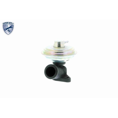 AGR-Ventil VEMO V22-63-0016 EXPERT KITS + f&uuml;r ALFA ROMEO CITRO&Euml;N FIAT LANCIA