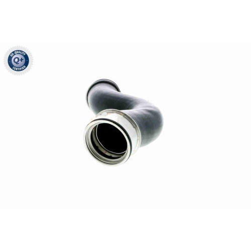 Ladeluftschlauch VAICO V10-4376 Q+, Erstausr&uuml;sterqualit&auml;t f&uuml;r AUDI SEAT SKODA VW