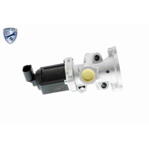 AGR-Ventil VEMO V40-63-0016 EXPERT KITS + f&uuml;r ALFA ROMEO FIAT FORD LANCIA OPEL