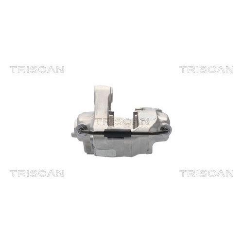 Bremssattel TRISCAN 8175 81201 f&uuml;r TESLA, Hinterachse links