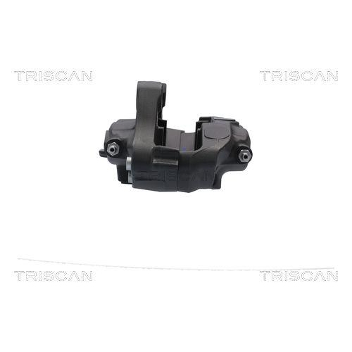 Bremssattel TRISCAN 8175 81204 f&uuml;r TESLA, Hinterachse rechts