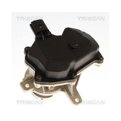 TRISCAN 8813 29119 AGR-Ventil f&uuml;r AUDI SEAT SKODA VW CUPRA