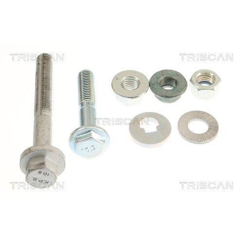 Lenker, Radaufh&auml;ngung TRISCAN 8500 81519 f&uuml;r TESLA, Vorderachse, au&szlig;en, hinten