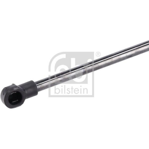 Gasfeder, Koffer-/Laderaum FEBI BILSTEIN 194416 f&uuml;r SEAT, beidseitig