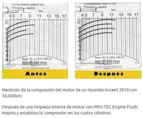 PROTEC 375ml Engine Flush P1001 Motor Innenreiniger Spülung